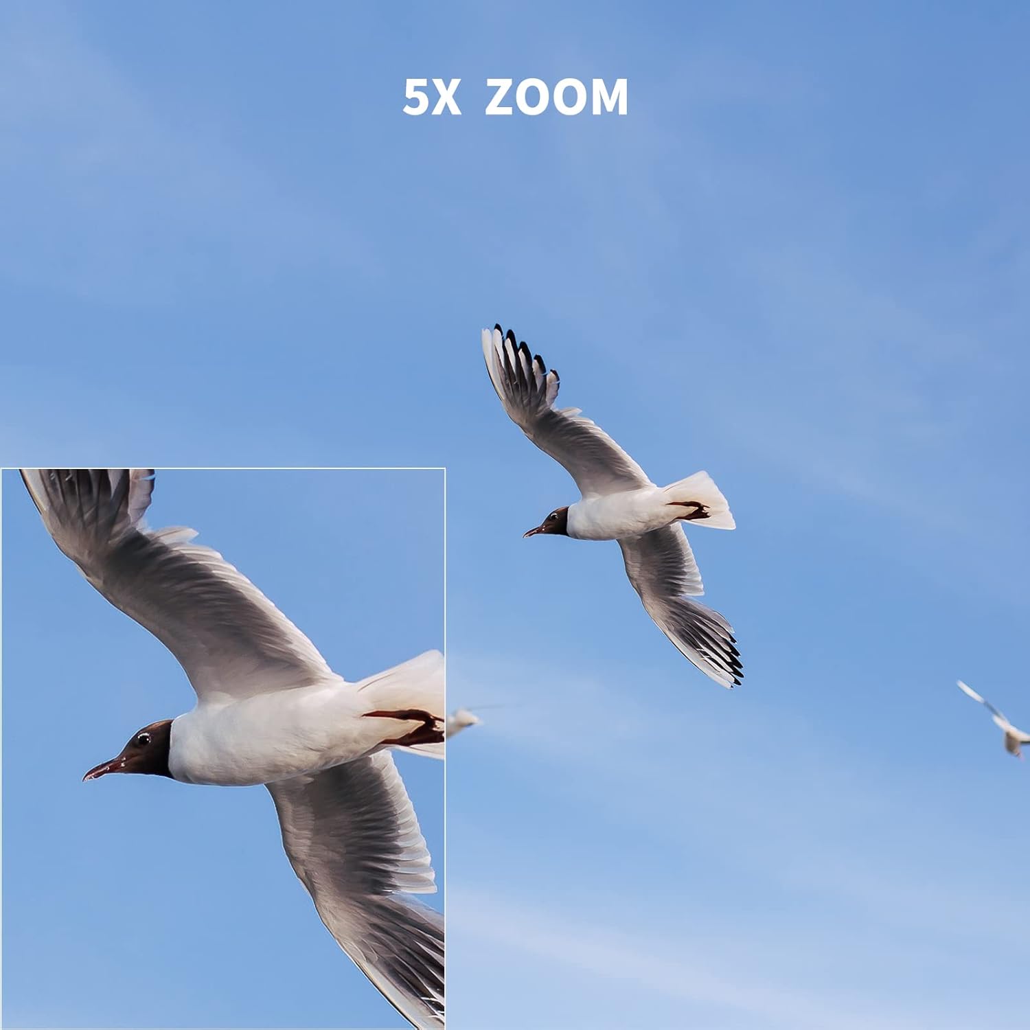 SJCAM SJ4000 Pro-Grade 4K Action Camera, 40MP 3-Axis EIS Stabilization Motorcycle Sport Camera, 170°FOV Waterproof Camera Underwater, 5X Zoom, Dual Batteries, 32G SD Card and Helmet Accessory Kit - Image 4